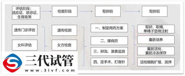 血友病携带者也能孕育健康宝宝，三代试管助力摆脱血友病“魔咒”(图3)