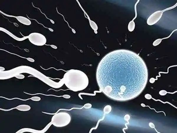 宫寒做试管婴儿成功率多少(图1) 宫寒做试管婴儿成功率多少(图1)