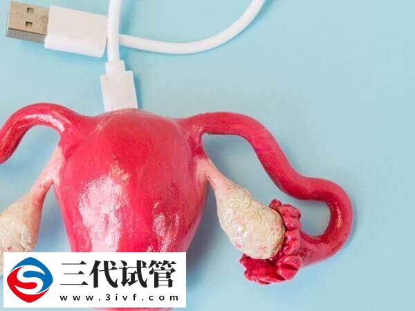 输卵管粘连对试管婴儿的影响有哪些(图1) 输卵管粘连对试管婴儿的影响有哪些(图1)