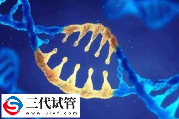 PGS与PGD技术的对比全解析！(图2)