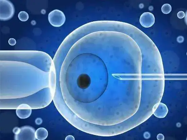 吉林哪家供卵三代试管婴儿医院好(图2)