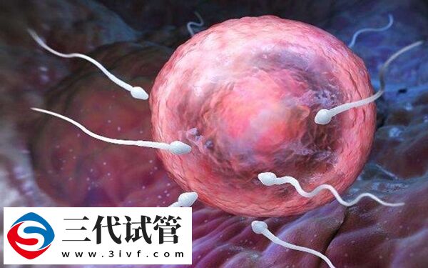 梗阻性无精症怎么取精做试管婴儿(图1)