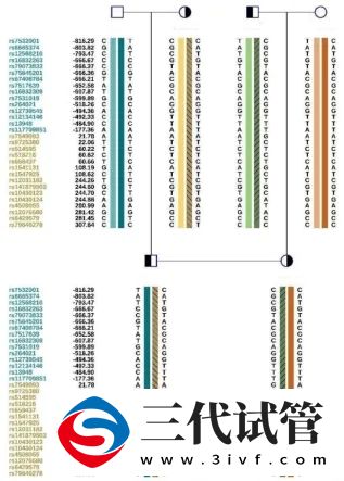 三代试管的那些事儿(图4)