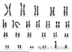 三代试管的那些事儿(图5)