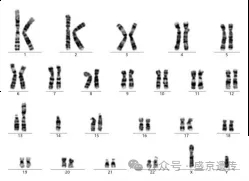 三代试管的那些事儿(图6)