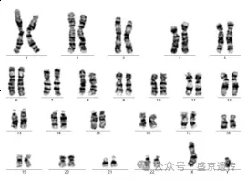 三代试管的那些事儿(图7)