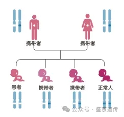 三代试管的那些事儿(图8)