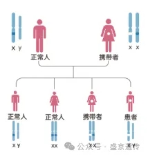 三代试管的那些事儿(图9)
