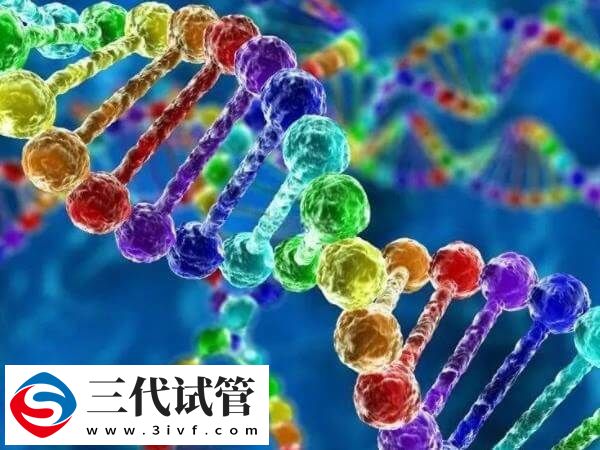 如何备孕才能优生优育(图1) 如何备孕才能优生优育(图1)