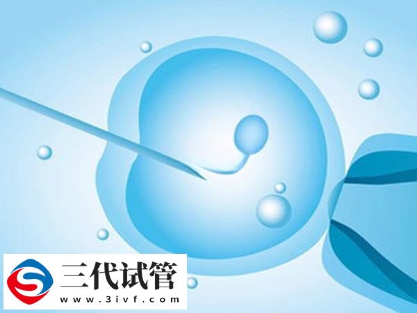 卵巢发育不全能不能做试管婴儿(图1) 卵巢发育不全能不能做试管婴儿(图1)