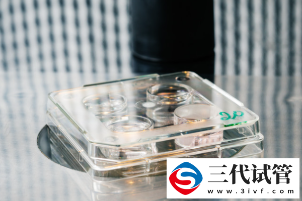 试管婴儿费用为什么每个人不一样?原因多集中在这4点上!(图2) 试管婴儿费用为什么每个人不一样?原因多集中在这4点上!(图2)