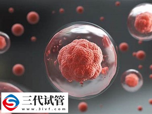 三代试管筛查为啥45天(图1) 三代试管筛查为啥45天(图1)