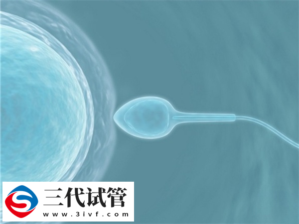 三代试管取卵10个能配成几个(图1)