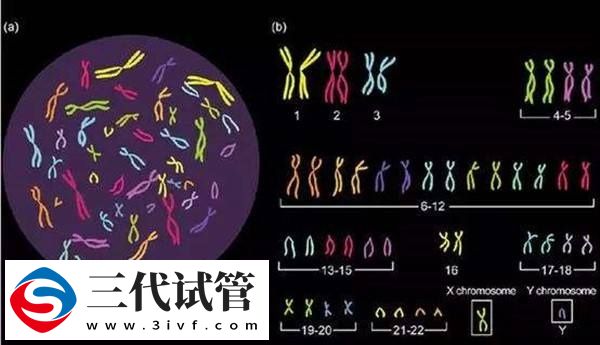 3代试管45天检测结果是否准确(图1)