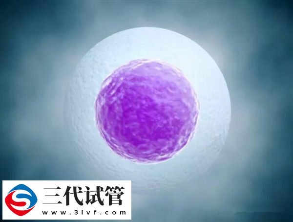 第三代试管婴儿取卵后要经历三次月经周期才能移植囊胚吗？(图1)