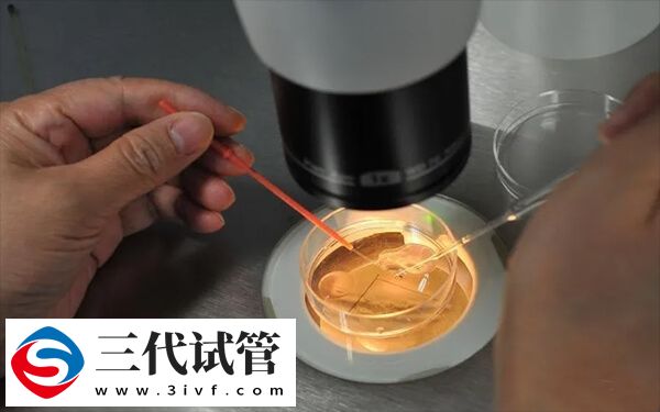 取卵22颗为什么不能鲜移(图1) 取卵22颗为什么不能鲜移(图1)