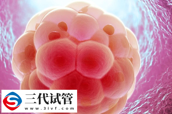 试管人工周期移植时间怎么定(图2)