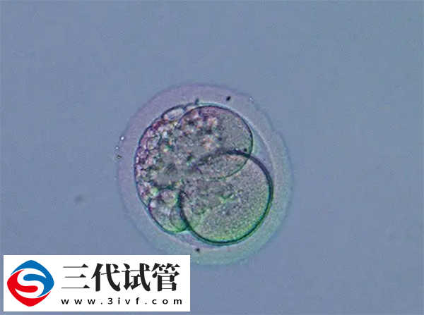 降调人工周期和人工周期的区别(图2) 降调人工周期和人工周期的区别(图2)