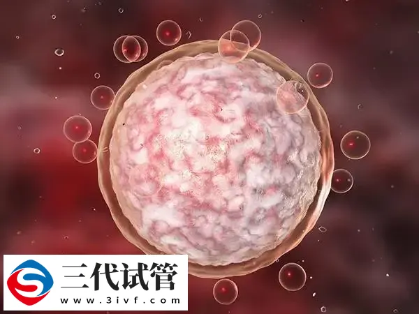 实施试管卵泡破了能不能取卵(图1) 实施试管卵泡破了能不能取卵(图1)