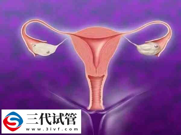 最佳取卵时间是什么时候(图3) 最佳取卵时间是什么时候(图3)