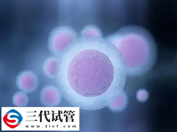 自然试管和最小刺激试管婴儿是否一样(图2)