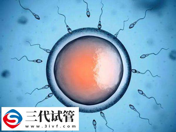 很多人选择去乌克兰做试管的原因(图2) 很多人选择去乌克兰做试管的原因(图2)