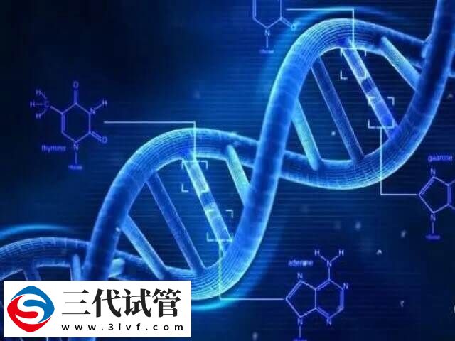 三代试管适合什么人(图1)