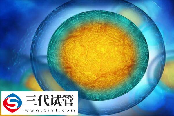 什么情况下影响胚胎着床