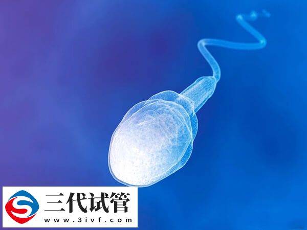 无精症可不可以做试管婴儿(图1)
