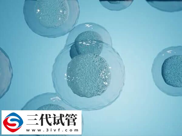 试管移植前针灸加艾灸有什么用(图2)