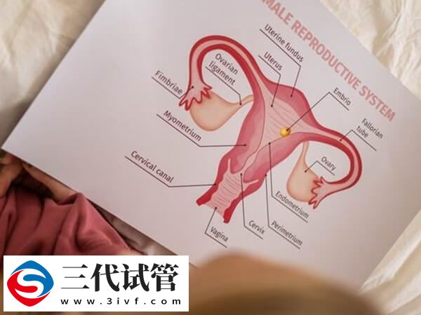 移植后如何知道胚胎着床了(图2)