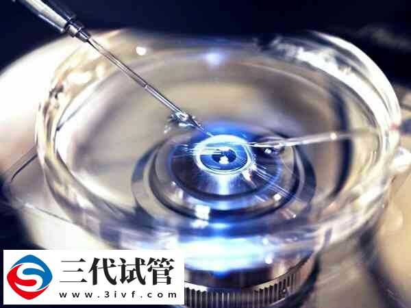 取卵后可以吃什么食物(图1)