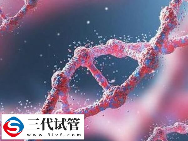 第三代试管婴儿胚胎植入前遗传学筛查是怎么进行的？(图1)