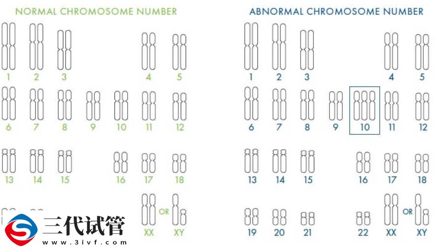 试管婴儿PGT技术是能在胚胎植入前检测染色体问题吗？(图2)
