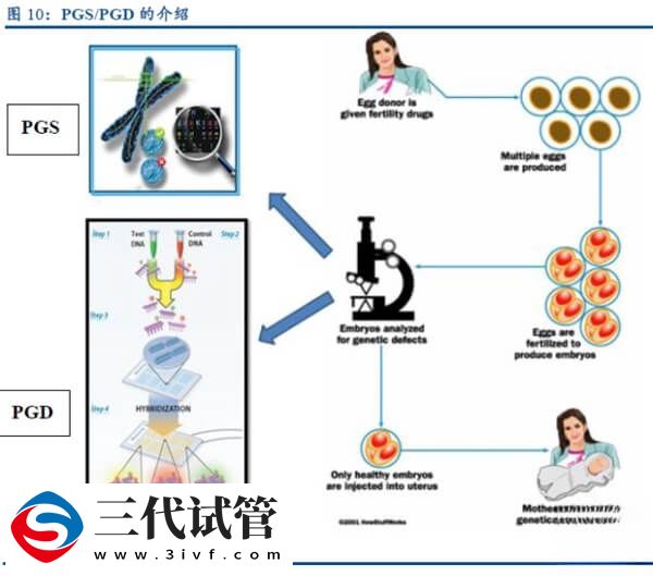 试管婴儿PGT技术是能在胚胎植入前检测染色体问题吗？(图1)