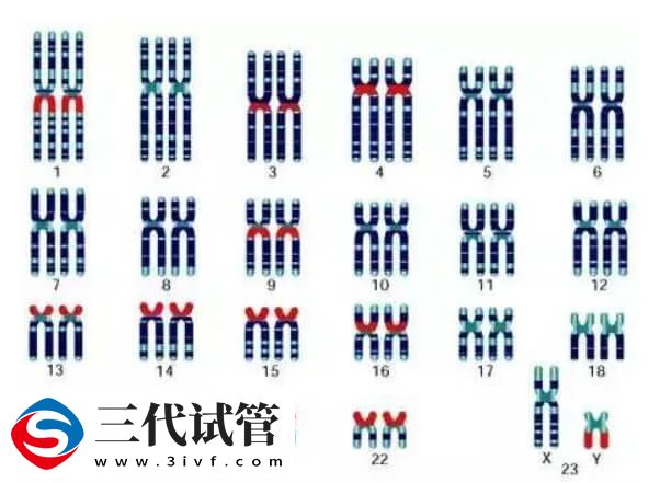 试管婴儿PGT技术是能在胚胎植入前检测染色体问题吗？(图3)