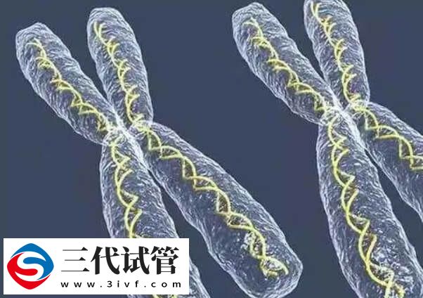 试管婴儿PGT技术是能在胚胎植入前检测染色体问题吗？(图4)