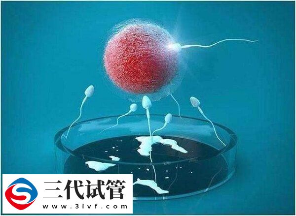 地贫做试管三代筛查胚胎需要多少钱？(图1)