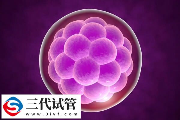 高龄试管一次移植几个(图2)