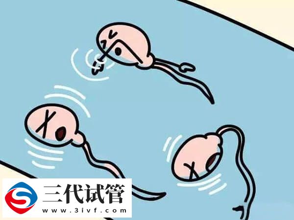 人类精子库申请供精做人工授精有哪些条件(图1)