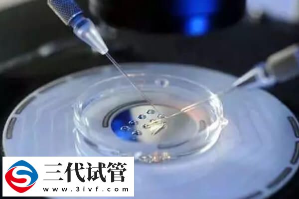 三代试管婴儿费用高的原因是什么(图1) 三代试管婴儿费用高的原因是什么(图1)