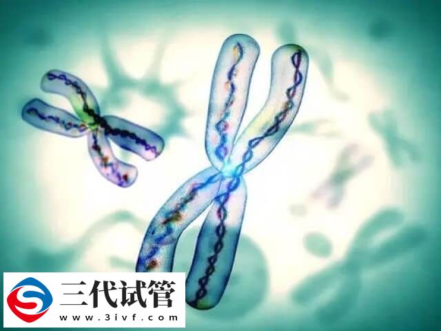 试管三代囊胚检测有没有风险(图1)