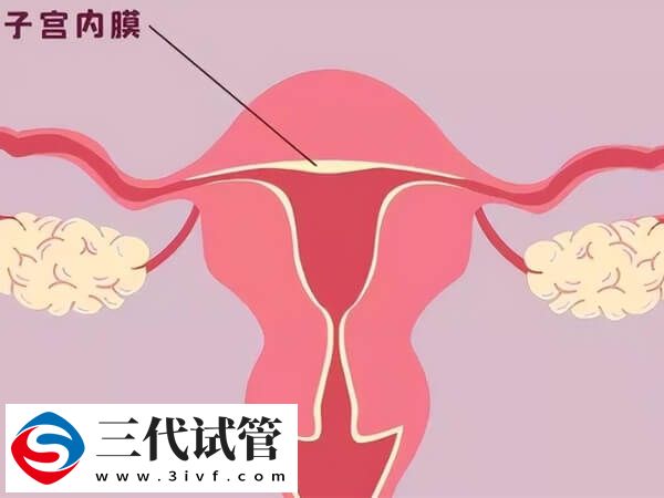子宫内膜5mm偏薄应该选择冷冻胚胎先增厚再移植吗？