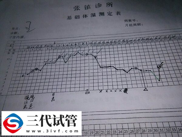 常见的测排卵方法(图1)