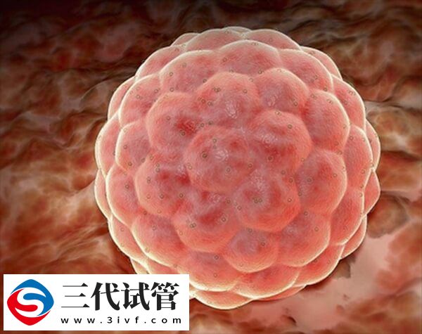 着床期间内膜厚度在多少mm才能正常受孕？