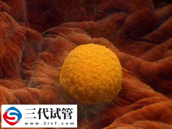 内膜14mm可以不刮宫直接移植冻胚吗？