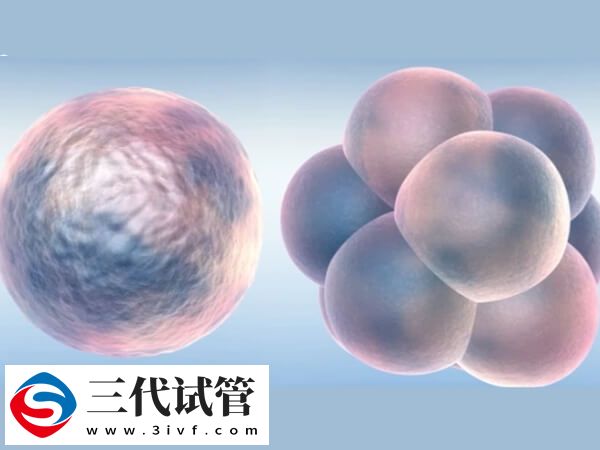 冻胚移植反复失败的原因之一是孕酮水平异常吗？