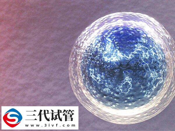 试管婴儿取卵费用大概多少