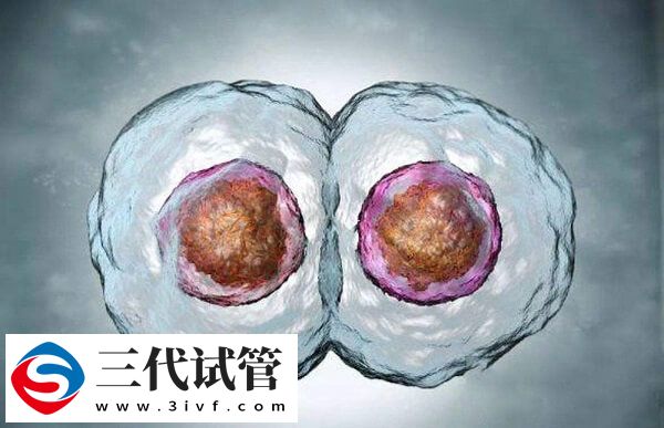 一次移植2个囊胚成功率多少