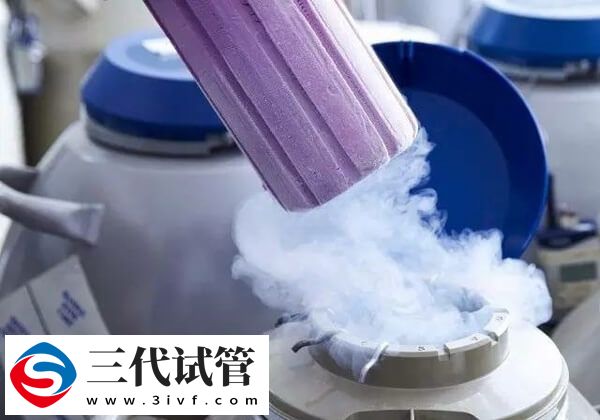 试管婴儿冷冻费能不能退